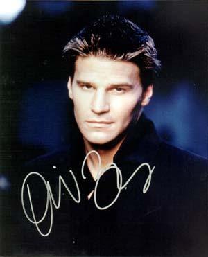 David Boreanaz Autographed 8x10 Photo - Vintage Dugout