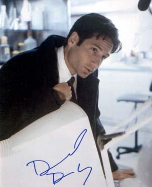 David Duchovny Autographed 8x10 Photo - Vintage Dugout